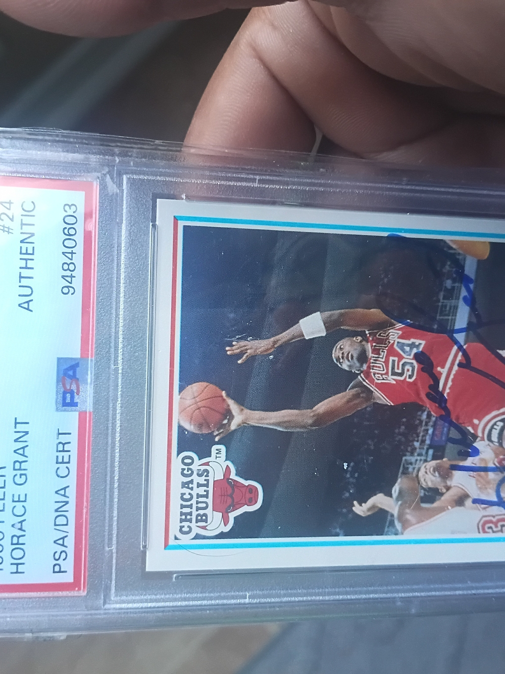 Signed Sports Trading Card Wall Art - Red Chicago Bulls Accent